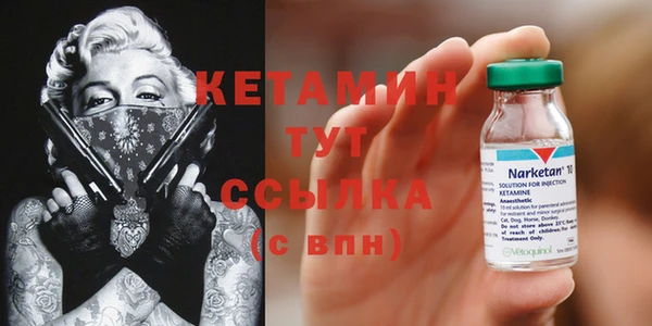 сатива Вязьма