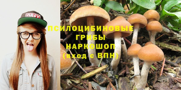 ECSTASY Горнозаводск