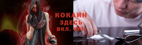 сатива Вязьма