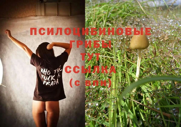 твердый Вяземский