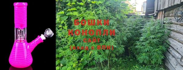 шишки Горно-Алтайск