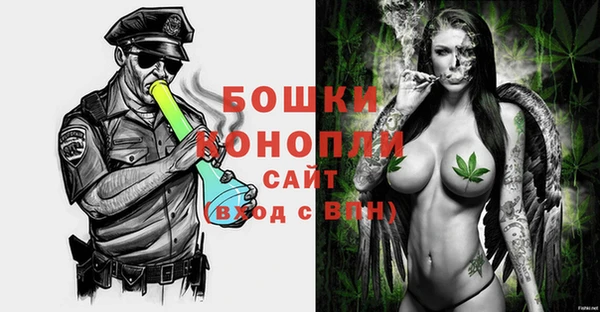 шишки Горно-Алтайск