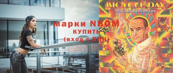 шишки Горно-Алтайск