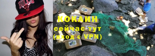 твердый Вяземский