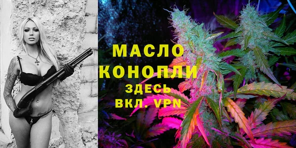 твердый Вяземский
