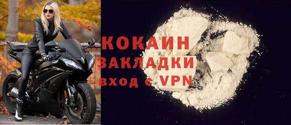 твердый Вяземский