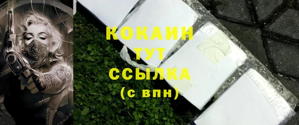 твердый Вяземский