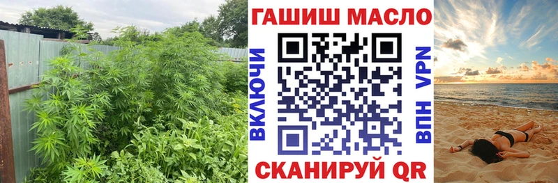 ТГК гашишное масло  Купить закладки  Карачаевск 