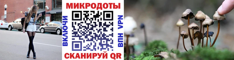 Купить  Карачаевск  Псилоцибиновые грибы Psilocybe 