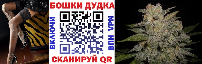 Купить закладки  Карачаевск  Бошки Шишки White Widow 