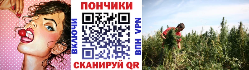 Бошки марихуана Amnesia Карачаевск